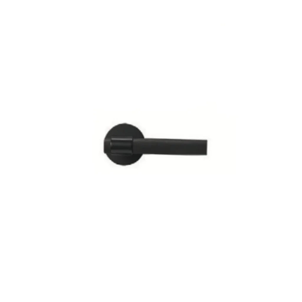 GIID - Door Lever Handle (Ø55) / L308B / Matt Black