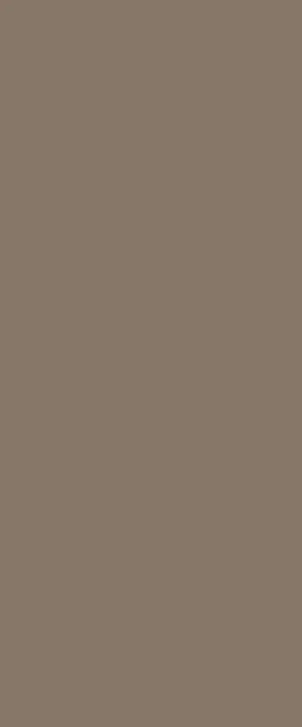 Cora - CR5342NM / Earth / 1.0MM / 4' x 8' / YBE